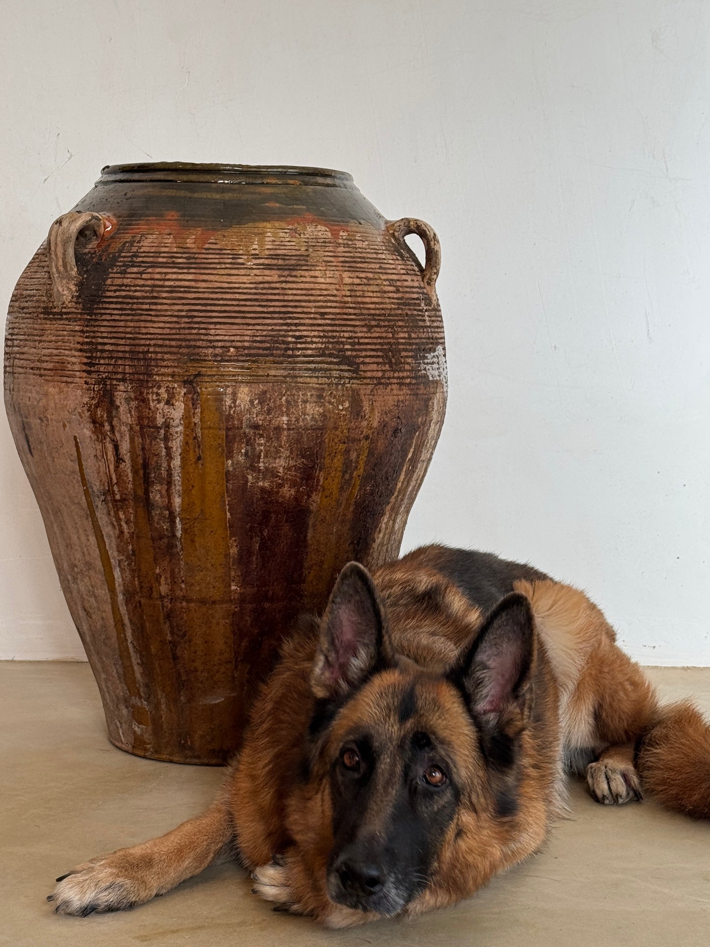 TERRACOTTA OIL JAR, 19TH-20TH CENTURY, 75cm high