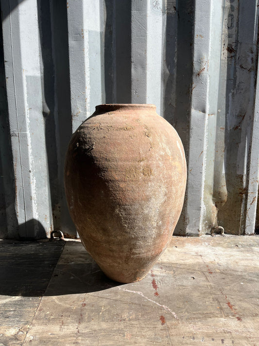OLIVE JAR