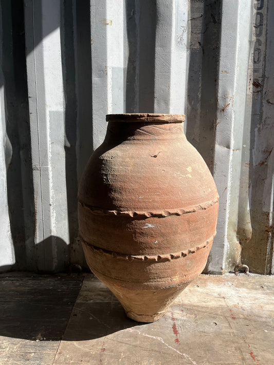 OLIVE JAR