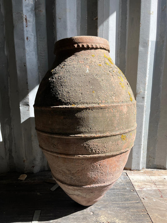 OLIVE JAR