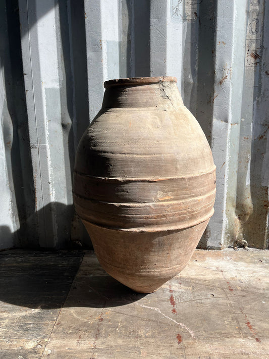 OLIVE JAR